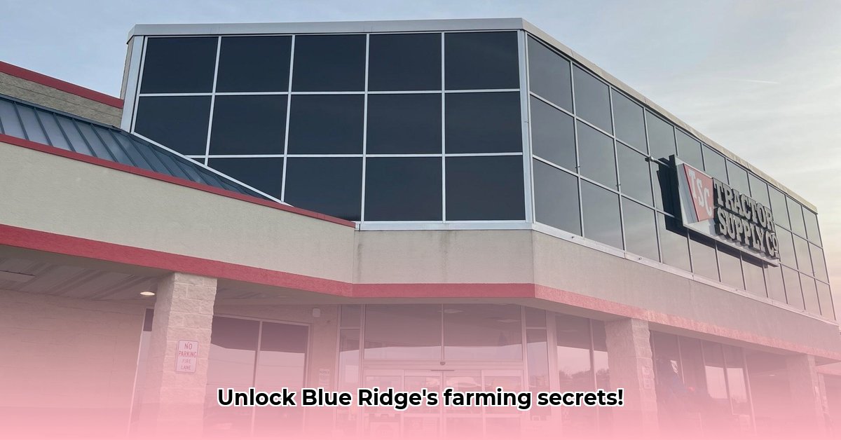 tractor-supply-blue-ridge